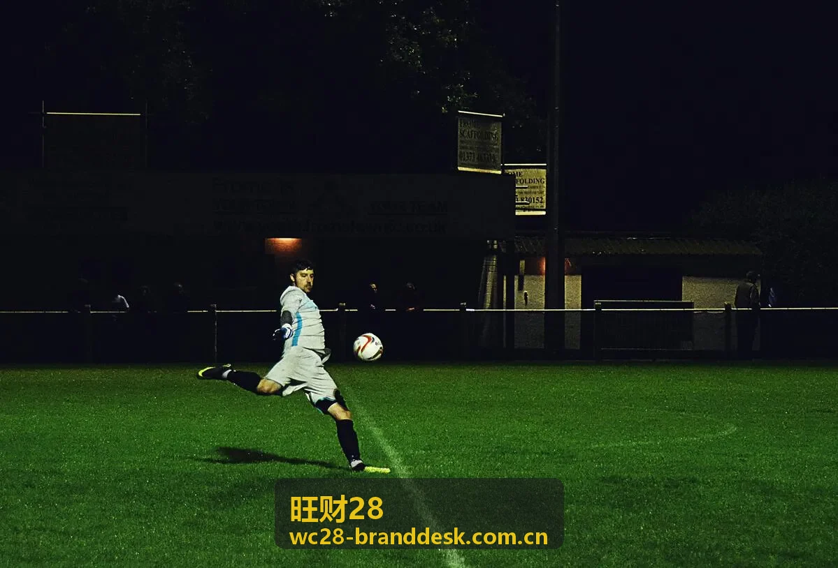 旺财28预测模型数据可视化